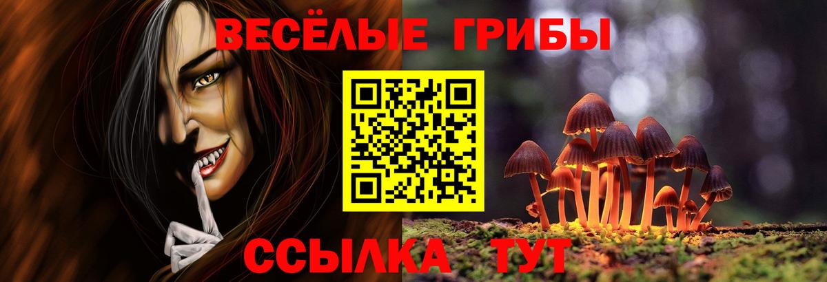 Галлюциногенные грибы MAGIC MUSHROOMS  Вход с VPN  Нефтекумск  магазин  наркотиков  Псилоцибиновые грибы Psilocybe 