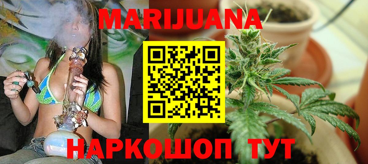 Бошки Шишки семена Нефтекумск